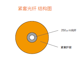 登录入口